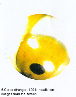 Immagine 6
